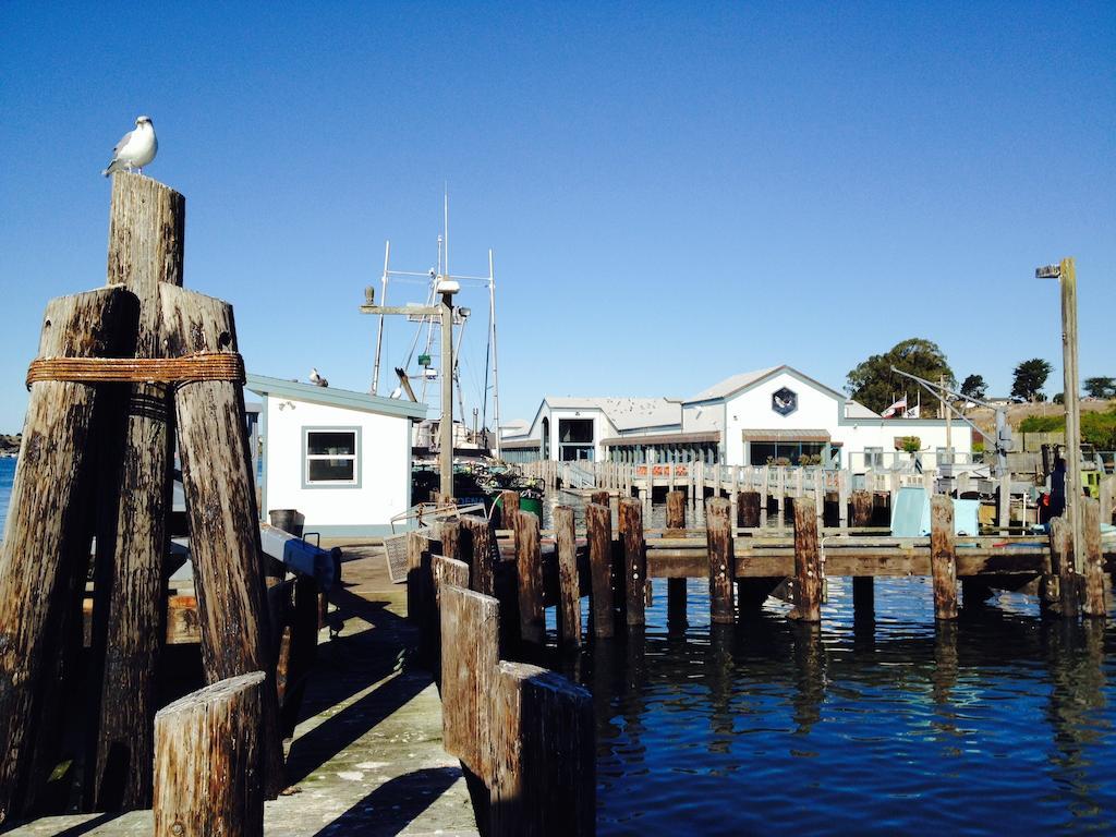 The Inn At The Tides Bodega Bay Eksteriør billede